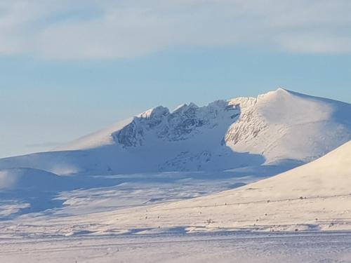 Hjerkinn Otro | Snøhetta Camping