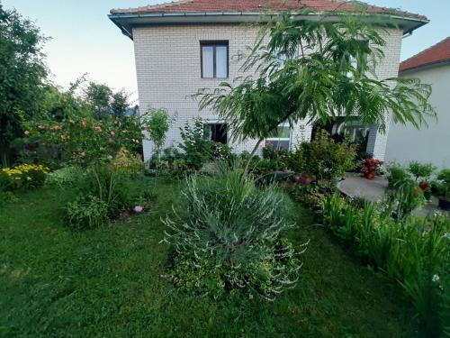 Soko Banja Casa | Sobe Ozrenka
