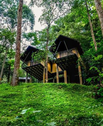 Elappara Complejo | Song Of The Trees Nature Stay Kutitkanam by LexStays