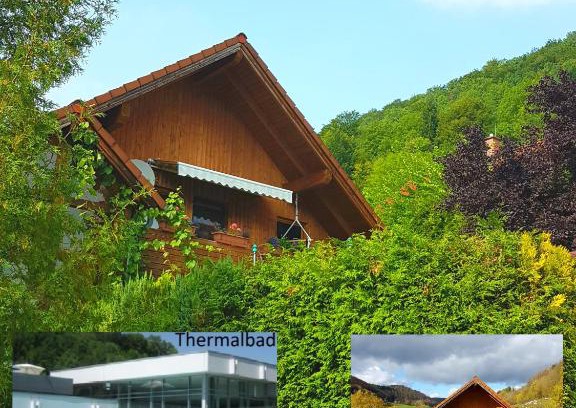 Bad Ditzenbach Apartamento | Sonnenbühl Inn Suite & Garden an den Thermen '35C'