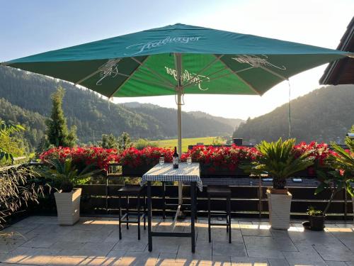 Wolfach Apartamento | Sonnige Ferienwohnung im Kinzigtal