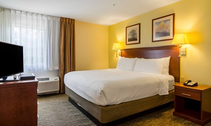 Arlington Casa | Sophisticated Room w/ Cozy Ambiance! Pet-Friendly