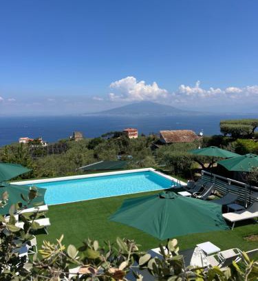 Priora Casa | Sorrento Olive Tree Garden