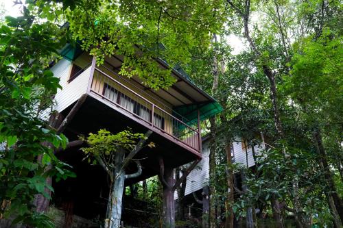 Kalpetta Complejo | Space Rock Resort
