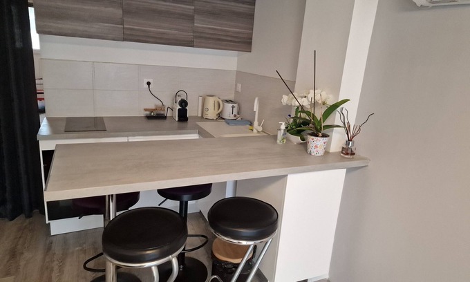 Saint-Georges-de-Reneins Apartamento | Spacieux Studio en Beaujolais