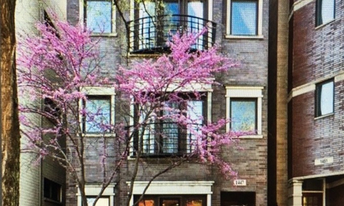 Noble Square Condominio | Espacioso Dúplex de 3/2 en el Área de Wicker Park