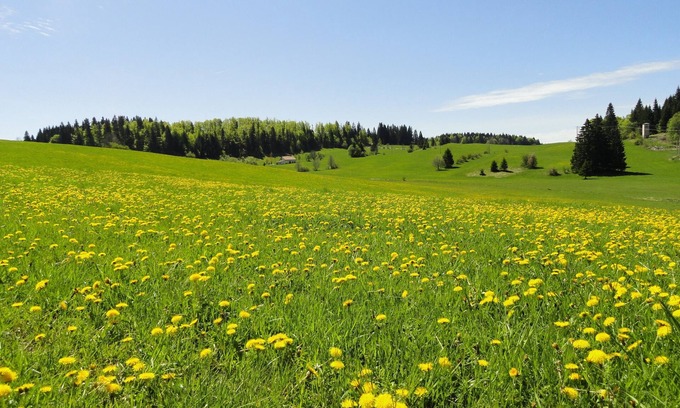 Paroisse des Monts de Bienne Apartamento | AMPLIO APARTAMENTO -SISTEMA CONFORT-RELAJACIÓN EN PLENA NATURALEZA