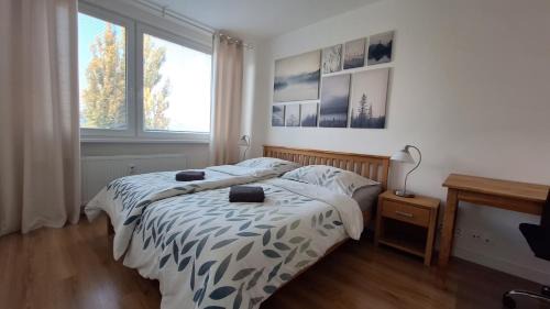 Zapad Apartamento | Spacious apartment in the park