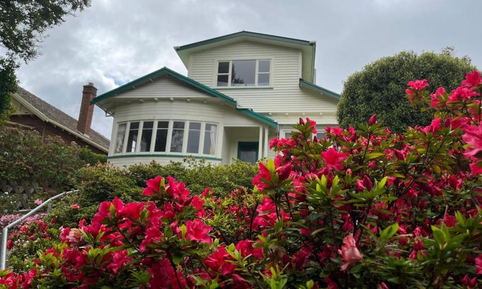 Dunedin Casa | Spacious comfortable character House -Maori Hill