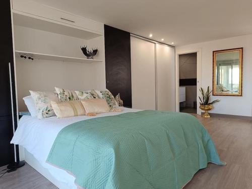 San Vicente del Raspeig Apartamento | Spacious Studio by the University