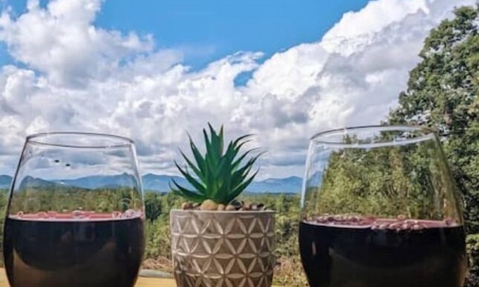 Pickens Casa | Sparrow Hawk Nest- Luxury Mountain View Tiny Home!
