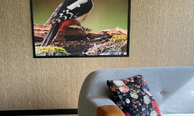 Rekem Casa | Specht-huisje - dog-friendly vacation home in Hoge Kempen near Maastricht