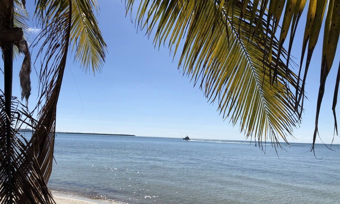 Coconut Grove Cabaña | ❤PROMO❤Romantic Zen Cottage👍 # 1 Location✨COCONUT GROVE-near all -Monthly-pets-