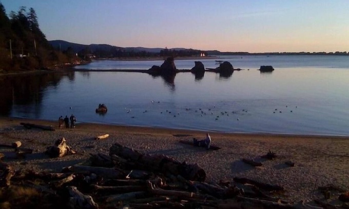 Lincoln City Condominio | Espectacular 180 'View, Beach Front Condo Great Kids Beach!