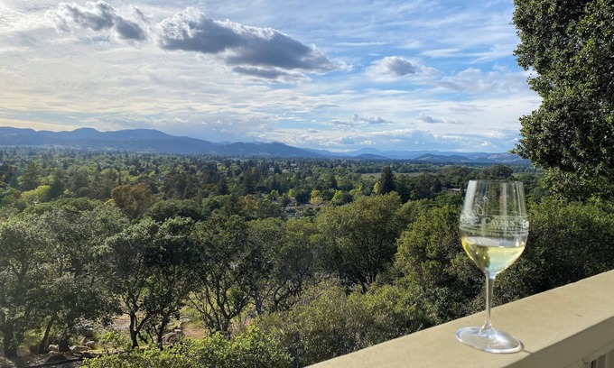 Montecito Heights Casa | Spectacular 4-bedroom mid-century modern home, one mile from Downtown Napa!
