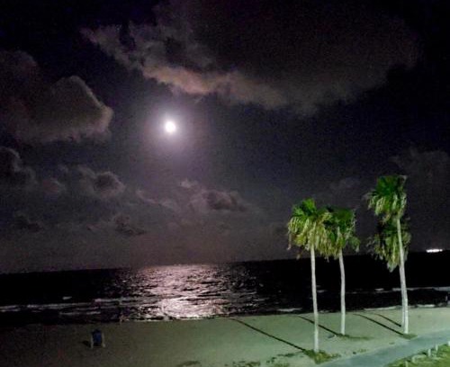 North Beach Apartamento | Spectacular Beach View!