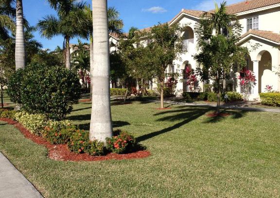 Naranja Casa | Speedway Blvd Townhouse