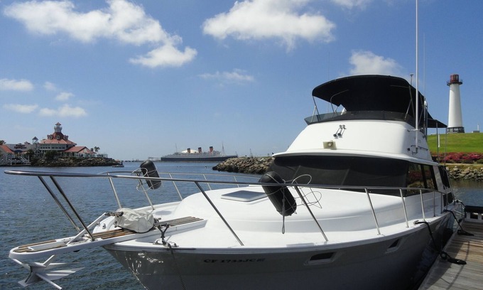 Waterfront Cama Y Desayuno | Spend the Night on a Yacht!