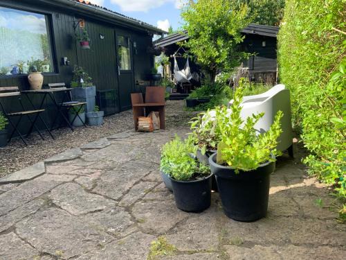 Guldborgsund Kommune Casa | Spiced Bed&Breakfast
