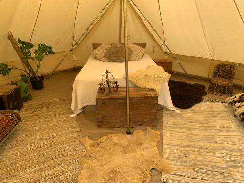 Rottingdean Otro | Spindle Tree Glamping near Brighton