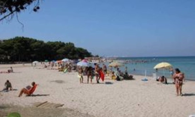 Rivabella Apartamento | Espléndido ático con vistas al mar