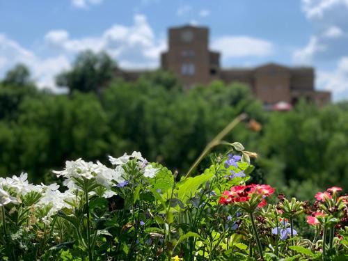 Veliko Tarnovo Apartamento | Spring-Пролет Apartment, Old Town, Veliko Tărnovo
