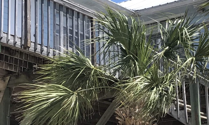 Perry Hotel | Spring Warrior Fish Camp # 2 Ubicado en el Golfo de México