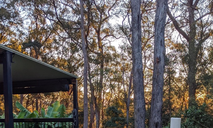 Springbrook Cabaña | Springbrook Gold Coast Hinterland Hikers Cottage