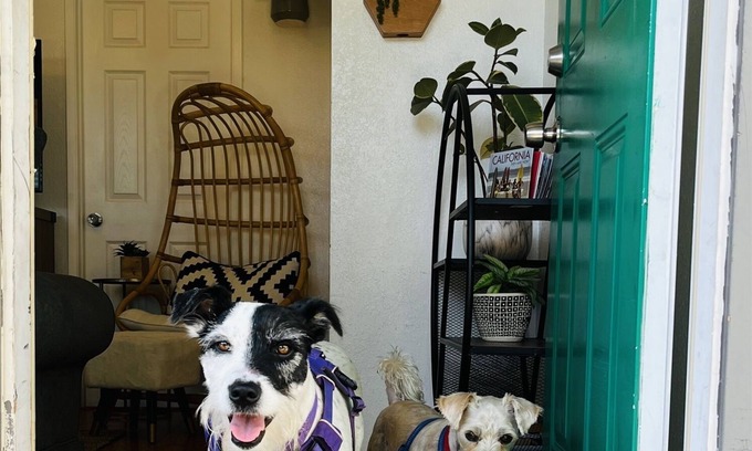 Point Loma Heights Cabaña | Green Door Cottage-Dog Friendly-3 cuadras de la playa!