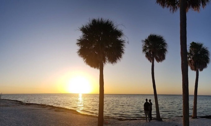 Downtown St. Petersburg Cama Y Desayuno | St. Pete September Fest 20%Off Your Urban Getaway!