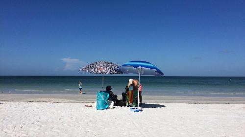 Crescent Lake Apartamento | St Pete Vacation Rentals