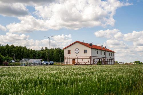 gmina Stare Miasto Casa | Stajnia Smaku