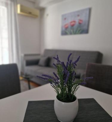 Inija Apartamento | Stan Na Dan 022