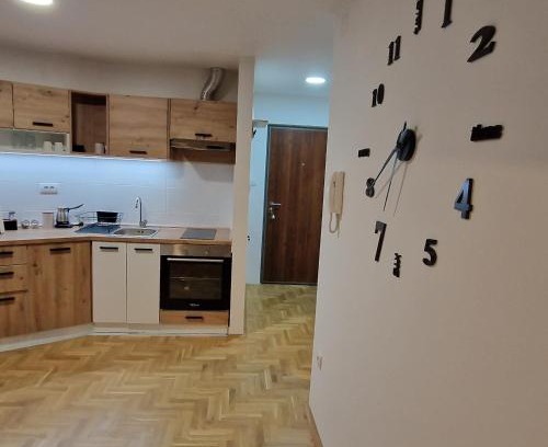 Pozarevac Apartamento | Stan na dan Apartman S