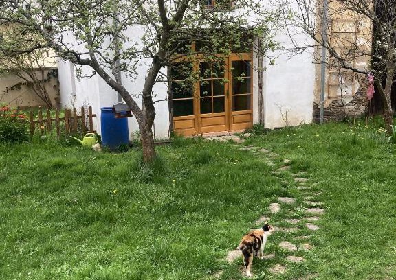 Utery Apartamento | Staré děkanství