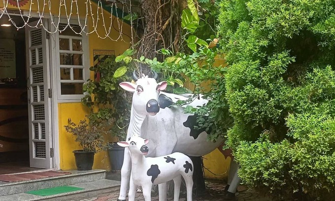 Mettupalayam Complejo | Star Resort