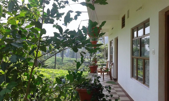 Chithirapuram Cabaña | Casas de vacaciones iluminadas por las estrellas Chithirapuram cerca de Munnar - Habitación # 1