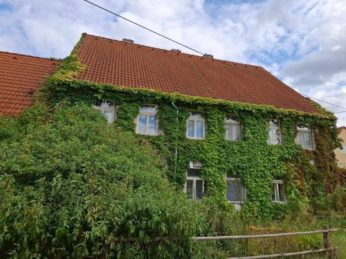 Bitov Apartamento | Statek Vranč