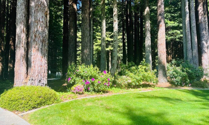 Crescent City Casa | Stay in your own Redwood Wonderland