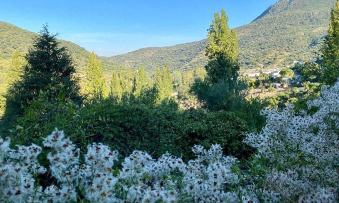 Benamahoma Cabaña | Stay Wild en Las Casitas de Huerta Arriba