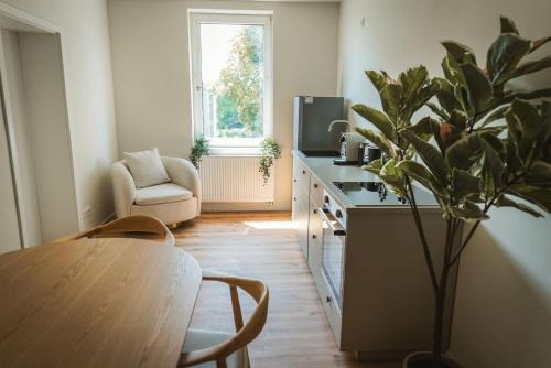 Celle Apartamento | Staylight Apartment in Celle - 3 Schlafzimmer, zentrale Lage am Französischen Garten, inkl Parkplatz, Küche und Kaffee