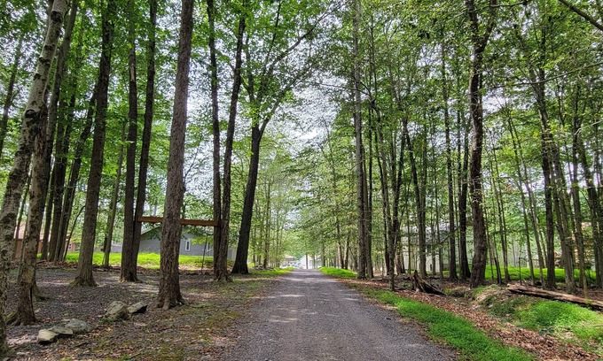 Locust Lake Village Cabina | Steps 2 Lake, 3 Bedrm cabin w/ bonus Loft, 2 full Baths, Pool Table, 2 Kayaks