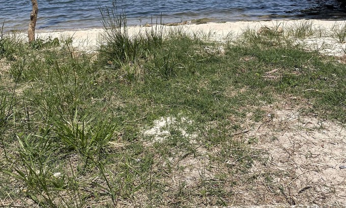 Cambridge Casa | Steps to the Choptank River small beach and blocks from town. Explore Dorchester
