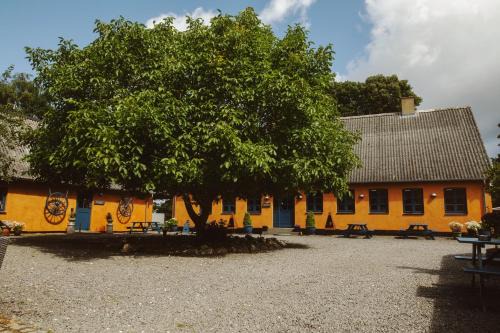 Store Heddinge Cama Y Desayuno | Stevns Klint Bed & Breakfast