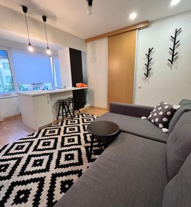Druskininkai Apartamento | Stilingi šaulio skulptūros apartamentai
