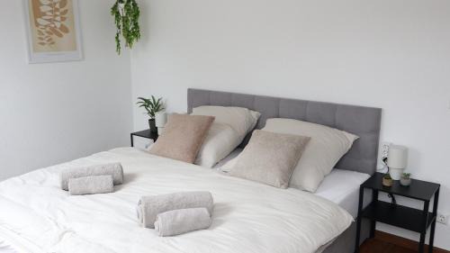 Villingen-Schwenningen Apartamento | Stillvolles Apartment VS