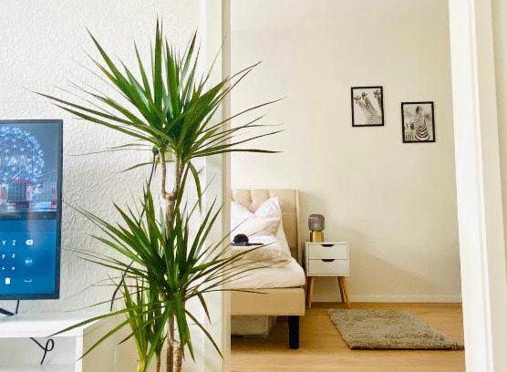 Andreasvorstadt Apartamento | Stilvolles Apartment in zentraler Lage - Smart-TV, Queensize-Bett, Altbaustil, Küche in City-Nähe