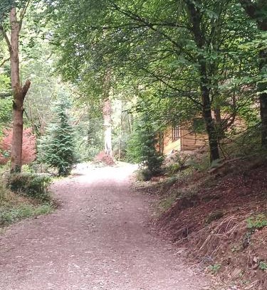 Glen of Aherlow Chalet De Esquí | Stream-side cabin and sauna