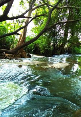 Dambulla Casa | Stream View Family Resort