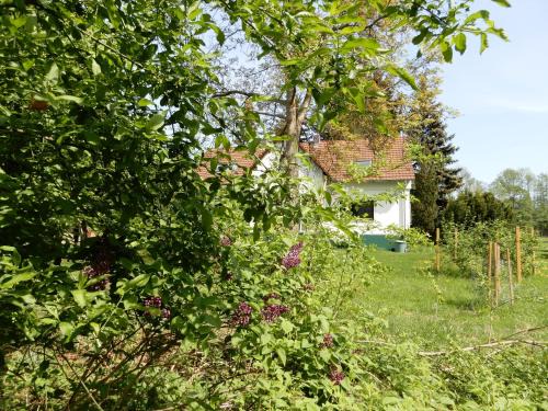 Burg-Dorf Apartamento | Streuobstwiese